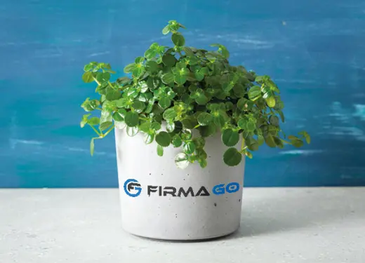 ROŚLINY OZDOBNE W TWOIM OTOCZENIU – CZY TO TYLKO KWESTIA ESTETYKI?