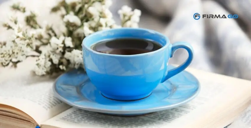 SLOW LIFE – ODKRYJ ZASADY, NAUCZ SIĘ ŻYĆ WOLNIEJ I ZWOLNIJ TEMPO ŻYCIA