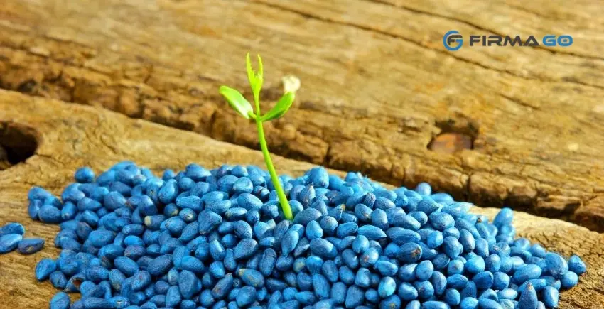 UMOWA KONTRAKTACJI – CO WARTO WIEDZIEĆ?